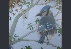 A closeup view of the bluejay from the mural.