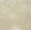 Click to see details of this faux finish sample